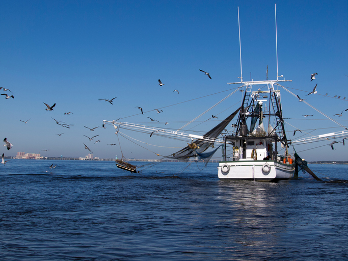 La pesca en corro, un deporte de lo más curioso