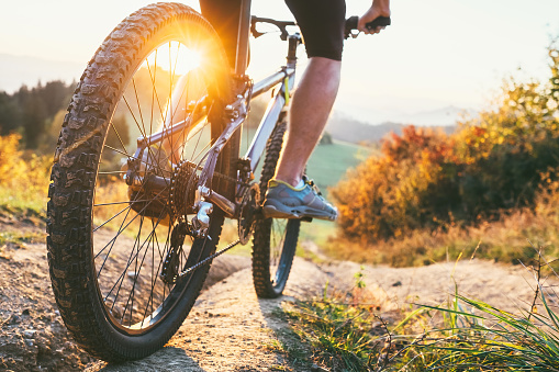 Tipos de bicicletas entre las que puedes elegir